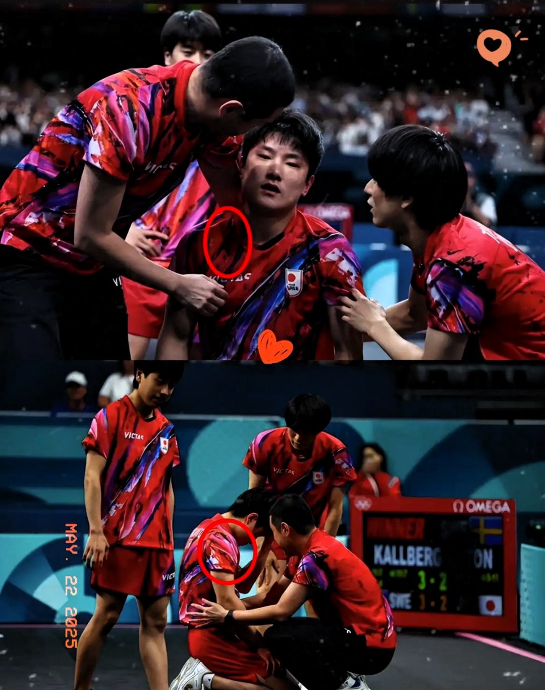 葡萄牙队完胜日本队，张本智和刷新纪录