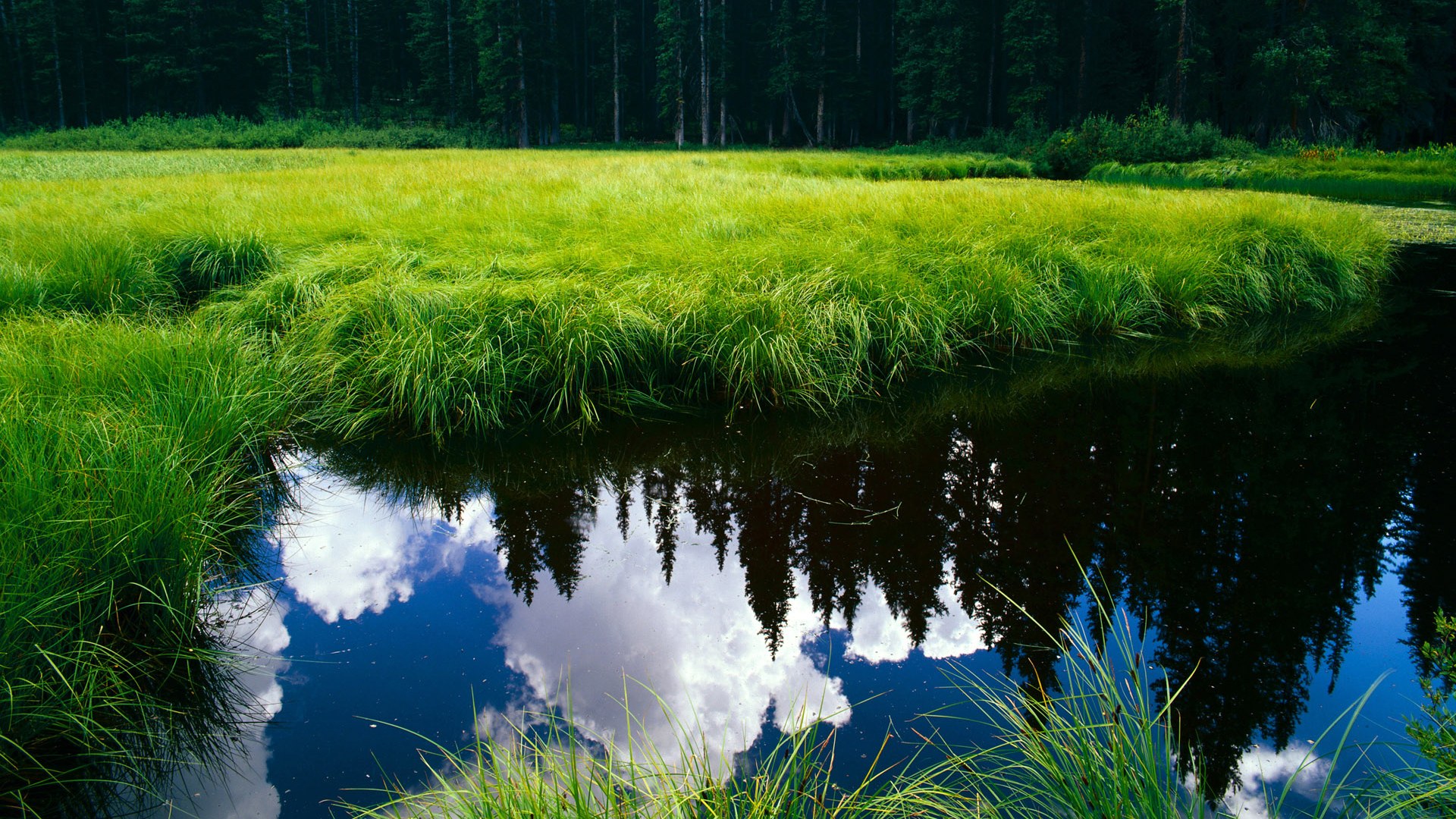 终局之战，马赛弯的闪电攻防，澳大利亚车手的街道赛悲歌