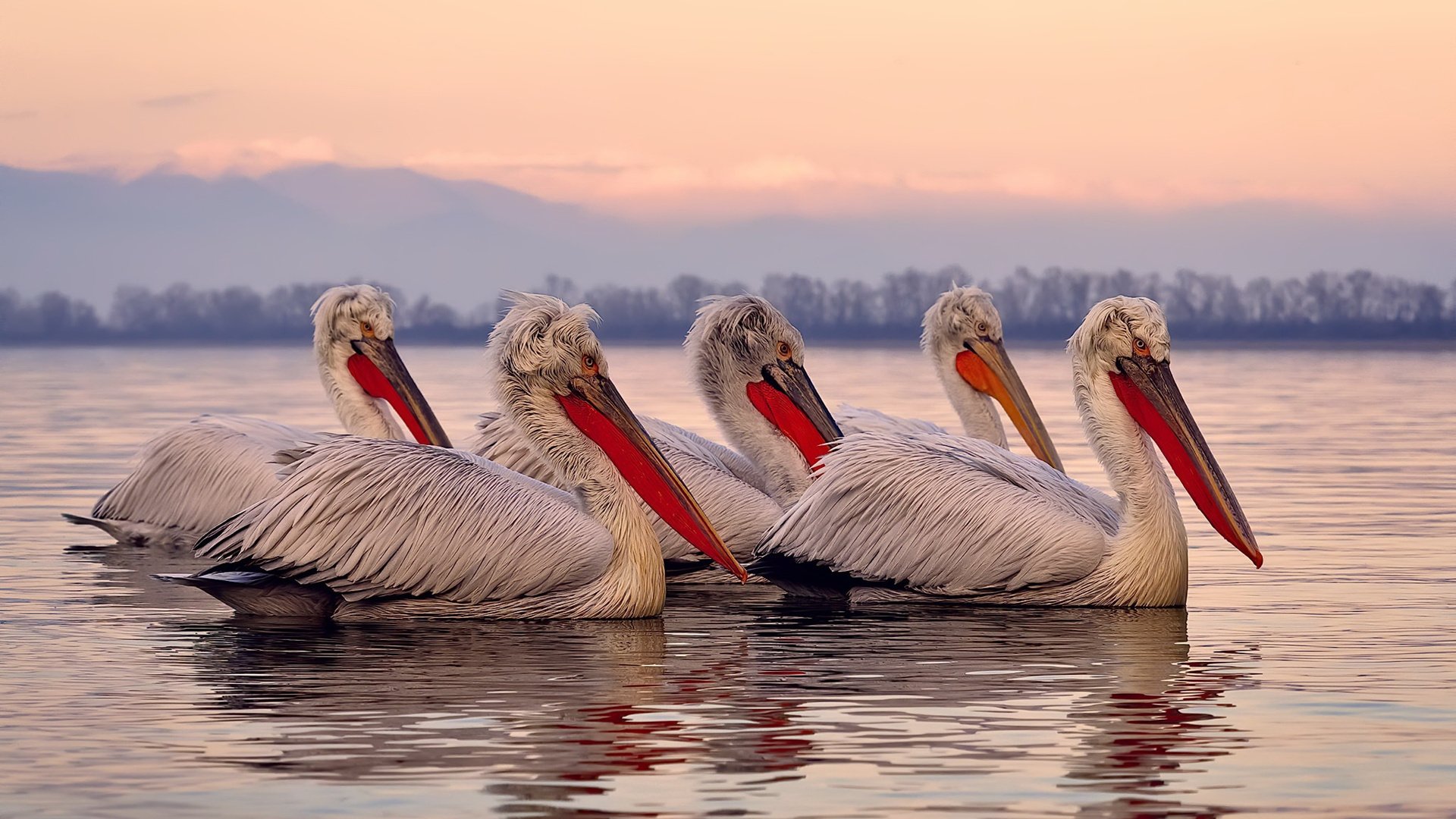 开云体育中国-跨越大洋的生涯之夜，当爱德华兹的星光在东方球场绽放