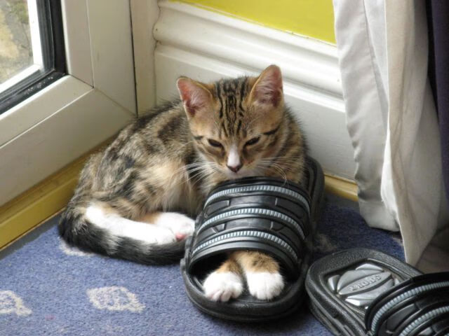 黄喜灿，最后一分钟改写三大洲足球版图