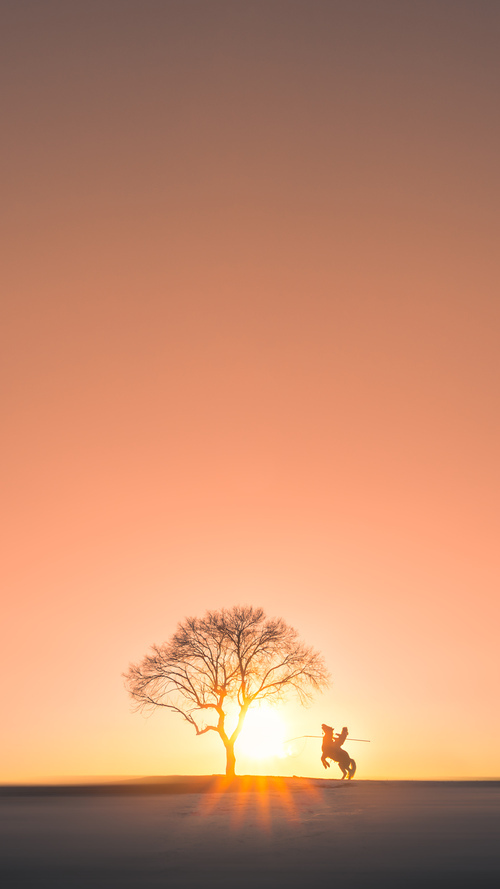 西亚卡姆狂揽39+16打崩广厦防线,尼克斯45分大胜展现恐怖统治力