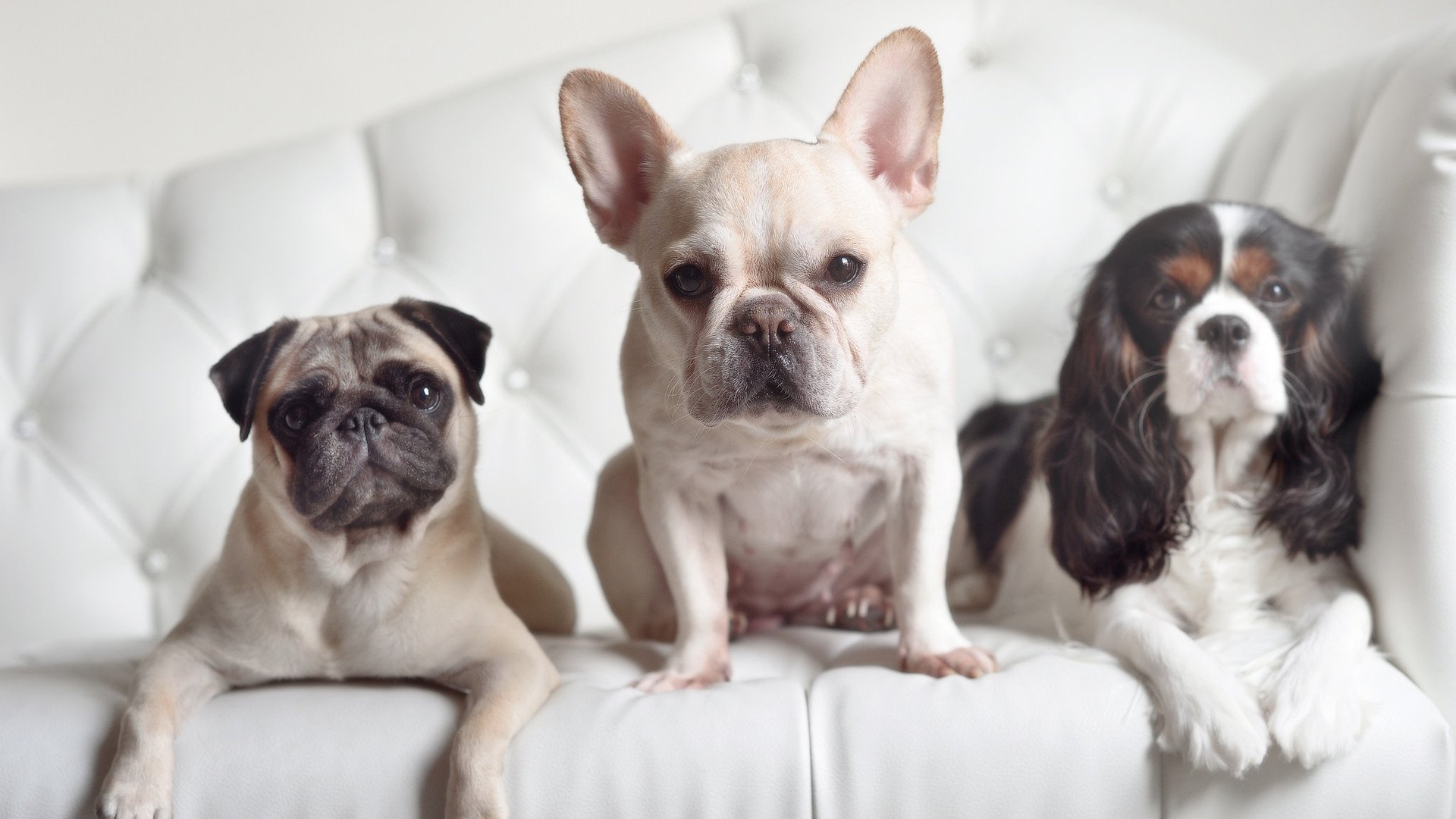 世界倾斜,从西北非海岸到里斯本舞台的距离