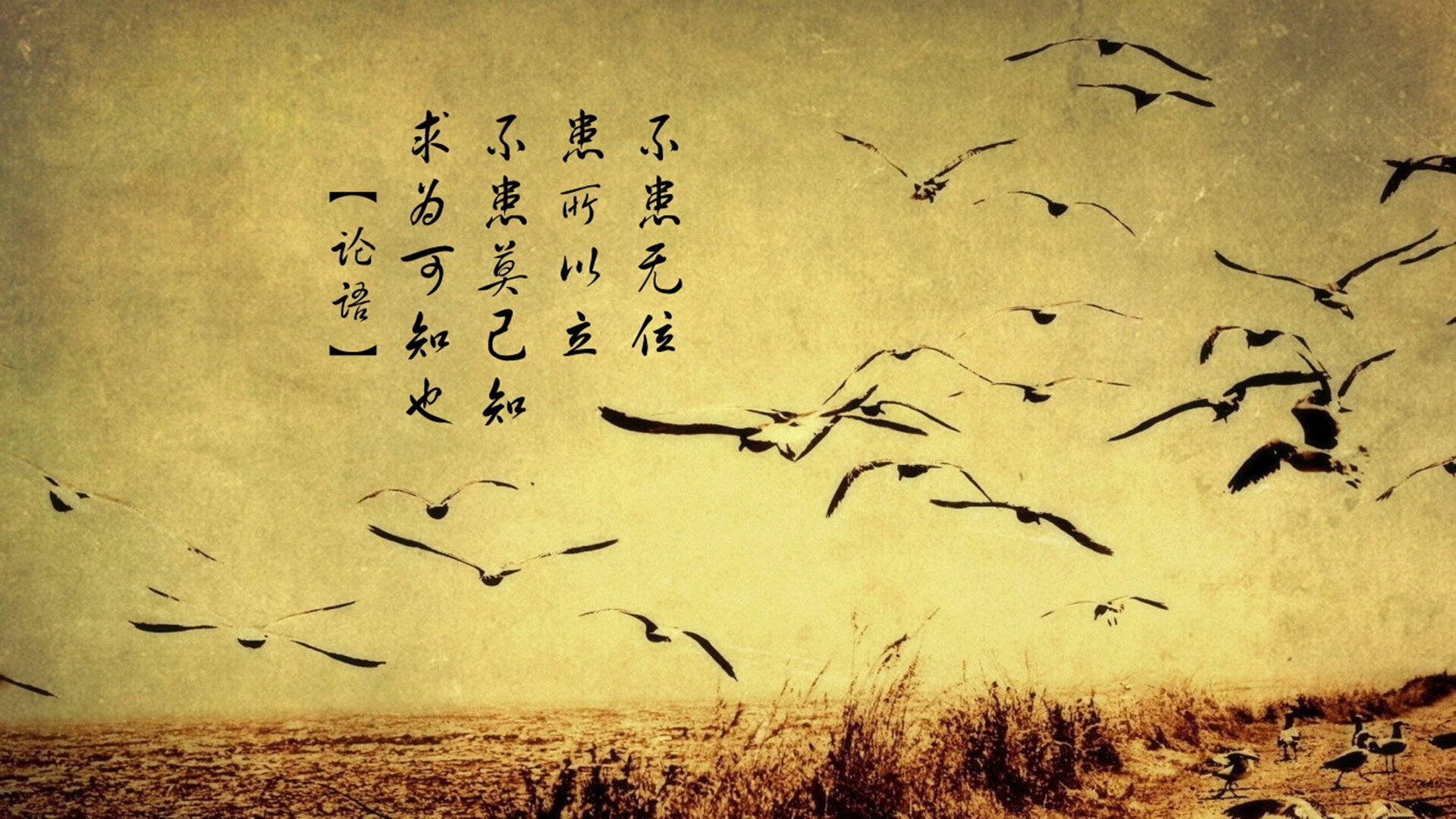 乔治的反高潮胜利,当稳定成为最锋利的刀刃