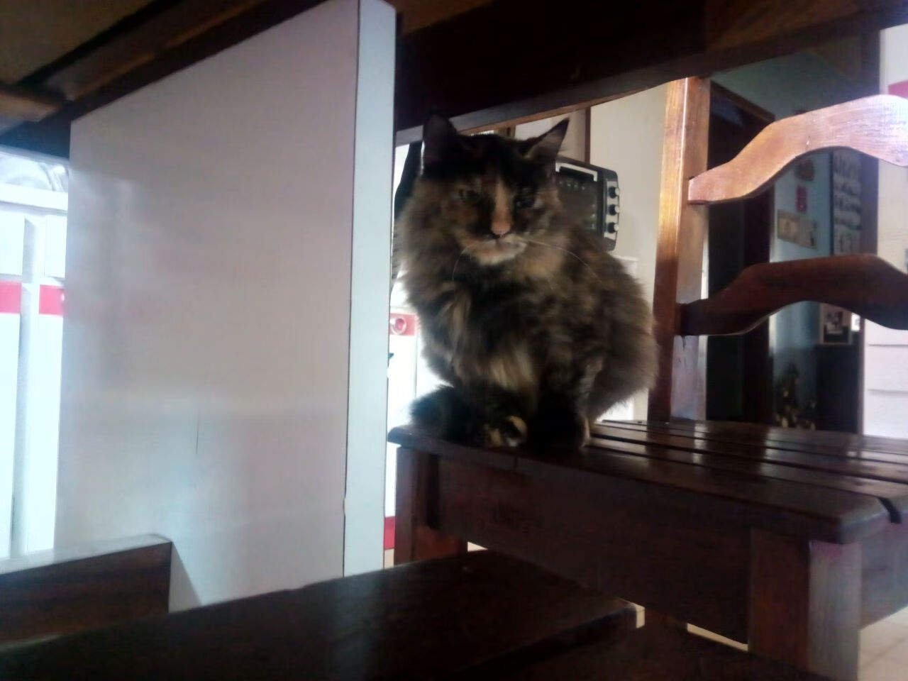 绿茵启示录，当意甲焦点战遇上牙卡冷门—足球世界不可预测的美学