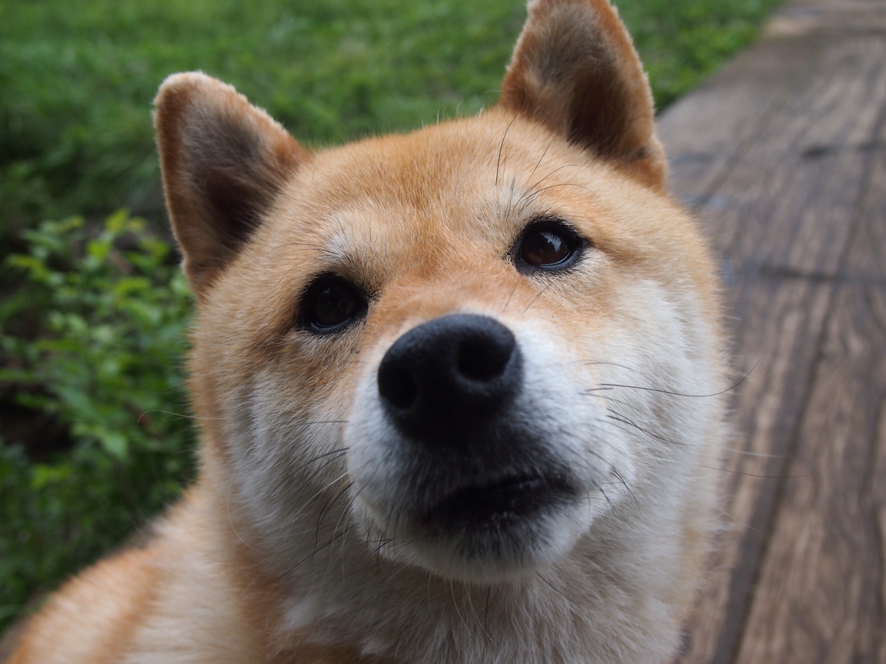 开云sport-破壁者富安健洋，在罗马与多特蒙德的鏖战中，他成为后防的定海神针