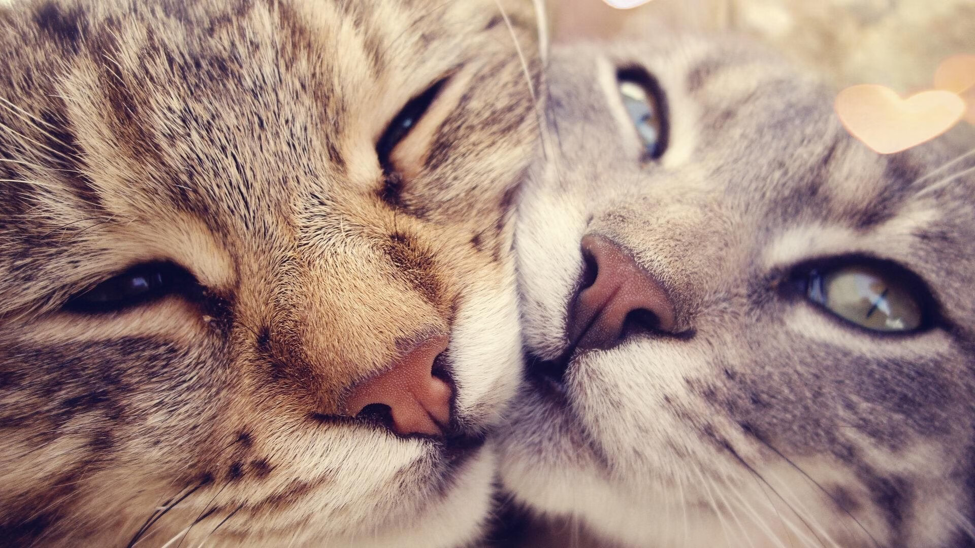 世界杯后的战术革命,三笘薰空间制造哲学如何影响欧洲俱乐部战术