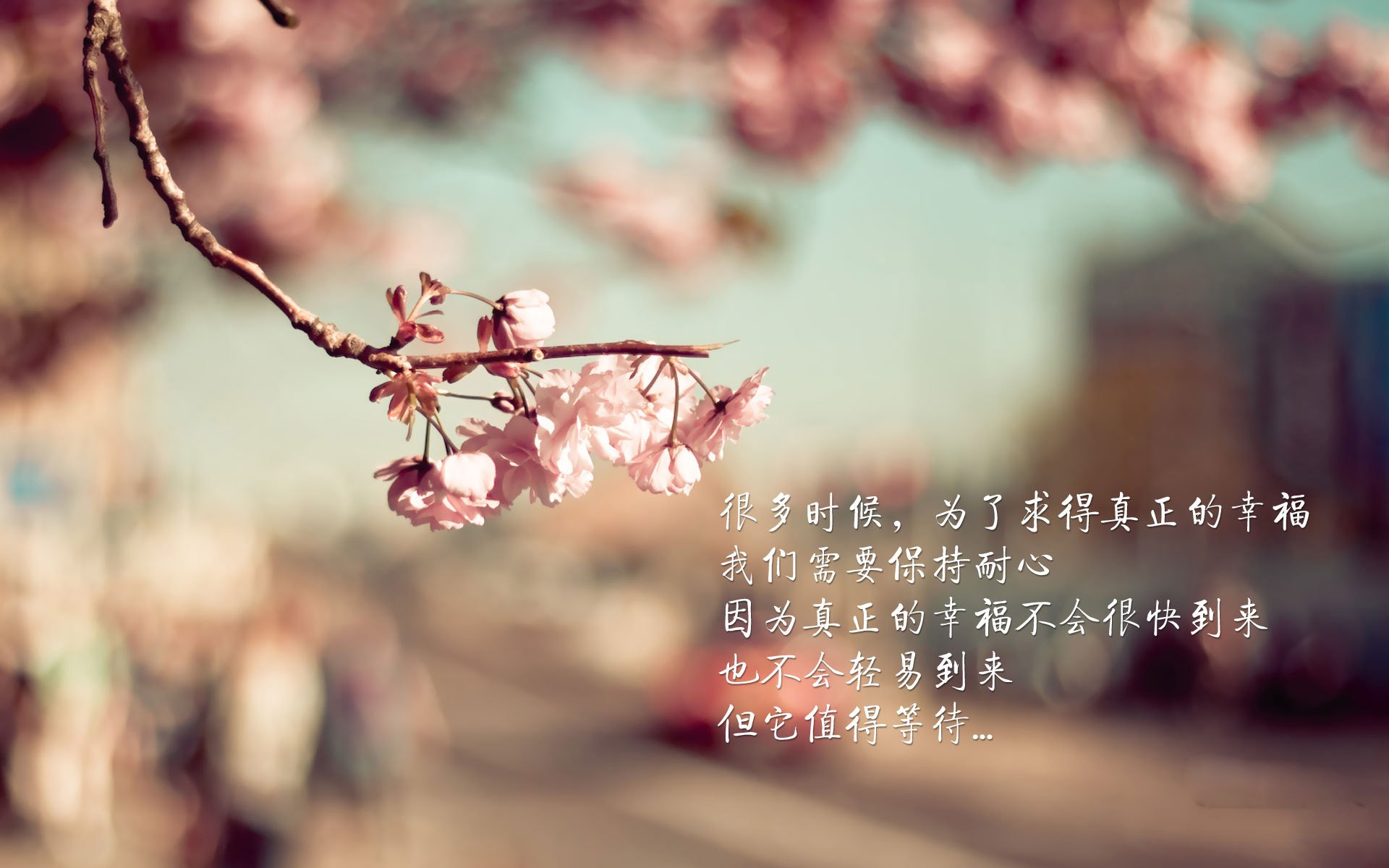 不败神话,2026世界杯E组罗马尼亚横扫伊拉克,阿方索·戴维斯独造历史